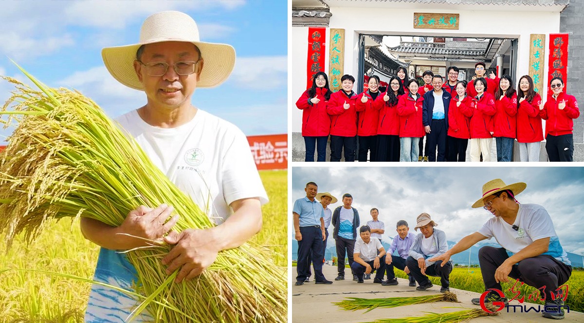 【思政开放麦·时事热点微评】打造科技小院集群，培养强农报国先锋方阵